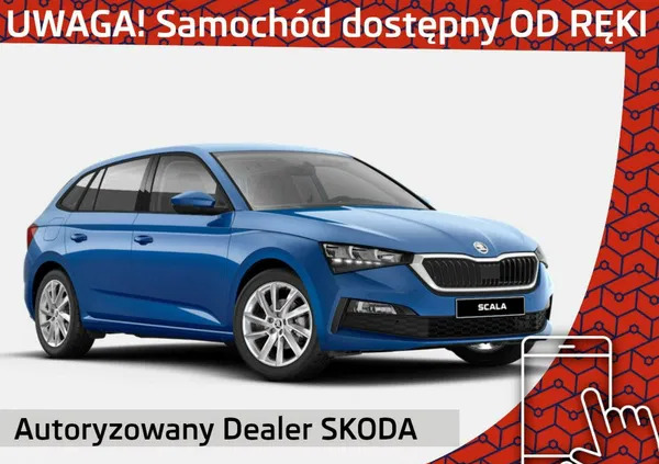 samochody osobowe Skoda Scala cena 113150 przebieg: 3, rok produkcji 2023 z Świebodzin